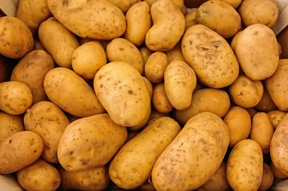 Best Jacket Potatoes