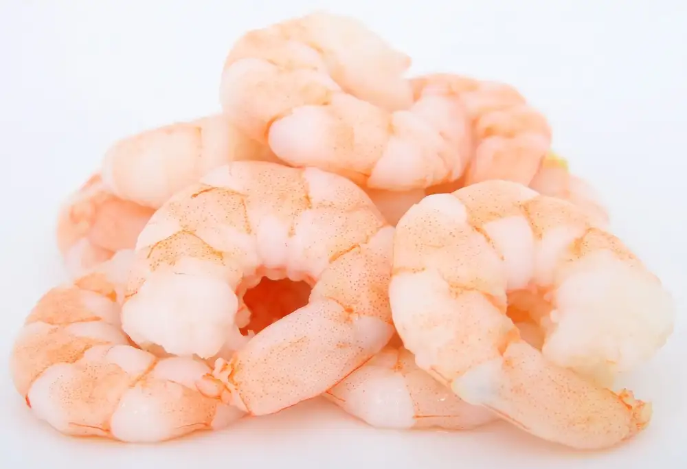 Honey Walnut Shrimp Recipe